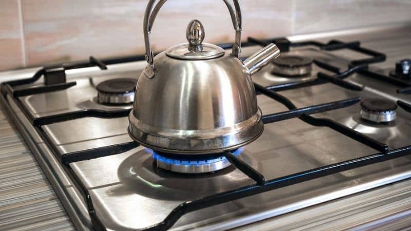Best Stainless Steel Gas Stoves in India 2022